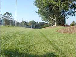 Photo of a swale