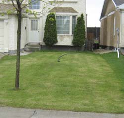 Photo of house showing proper sump pump hose placement photo 1