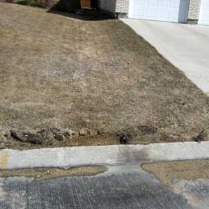 Photo of improper sump pump hose placement - Buried hose draining onto street