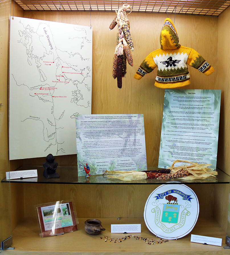 Story Seeds exhibit at Millennium Library, 2022. Photo credit: Jesse Green (Mamawi Apikatetan Inc).