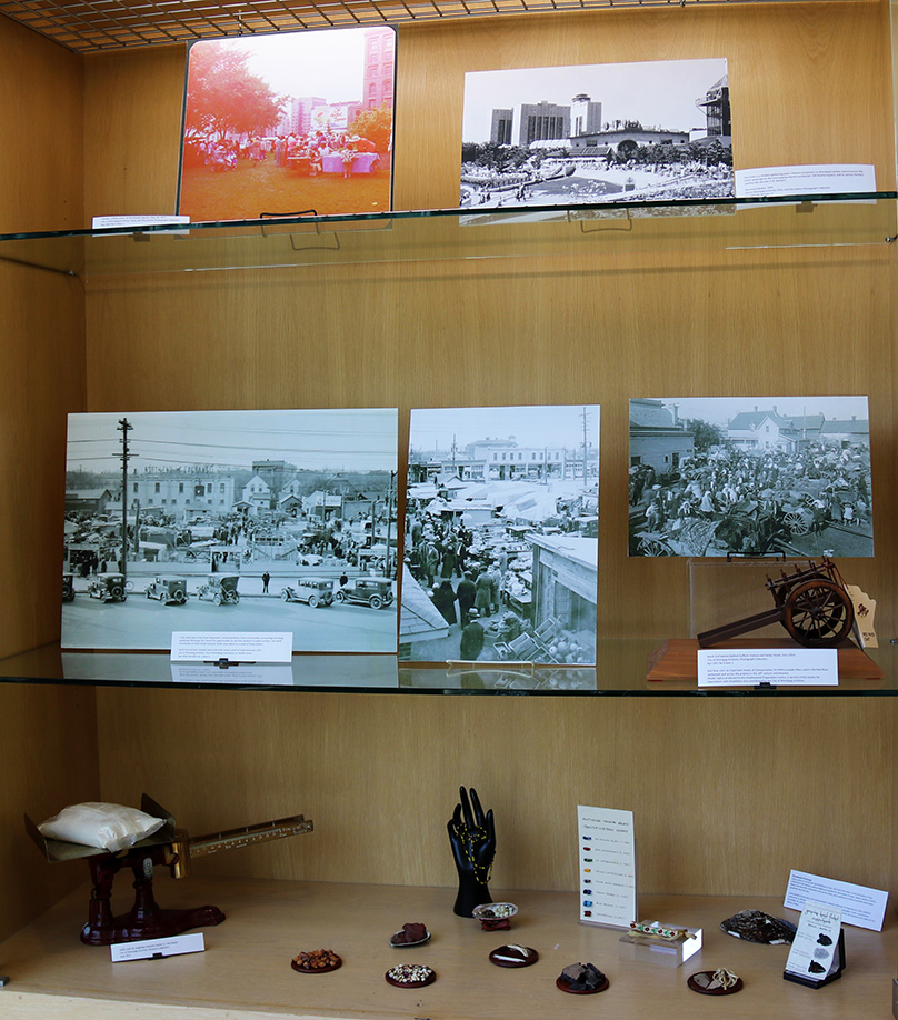 Story Seeds exhibit at Millennium Library, 2022. Photo credit: Jesse Green (Mamawi Apikatetan Inc).