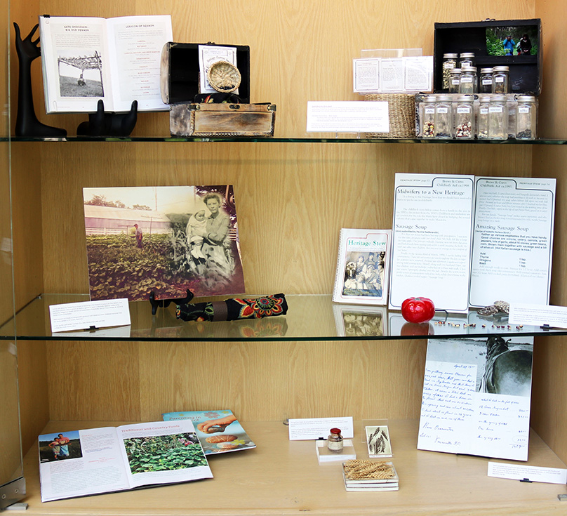 Story Seeds exhibit at Millennium Library, 2022. Photo credit: Jesse Green (Mamawi Apikatetan Inc).