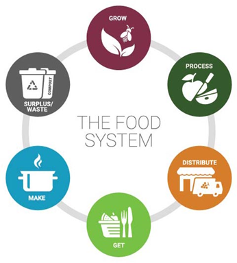 The Food System: grow, process, distribute, get, make, surplus/waste