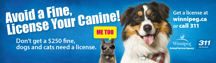 Avoid a fine, license your canine!