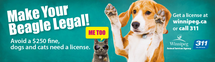 Make your beagle legal!