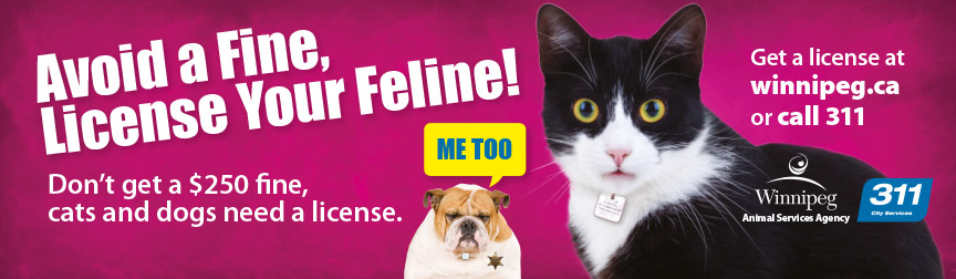 Avoid a fine, license your feline!