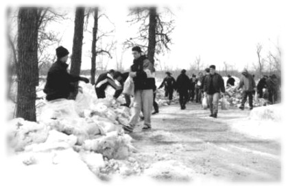 A picture of volunteers sandbagging along the river in Winnipeg, City of Winnipeg Photo