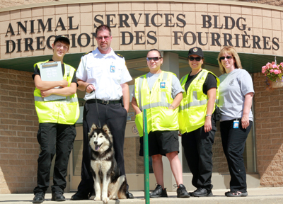 animal services interns 2012