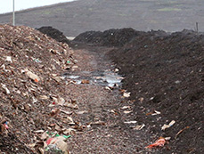 Compost at various stages at the Brady Road Resource Management Facility