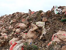 Yard waste is brought to the Brady Road Resource Management Facility