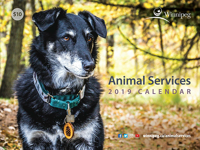 Winnipeg Animal Services has a 2019 calendar for sale for $10