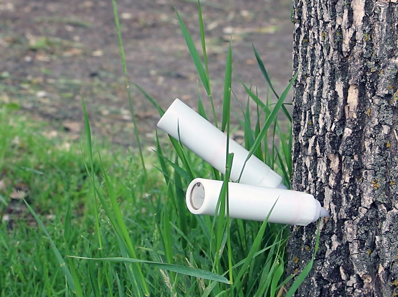 injecting a tree with a botanical insecticide