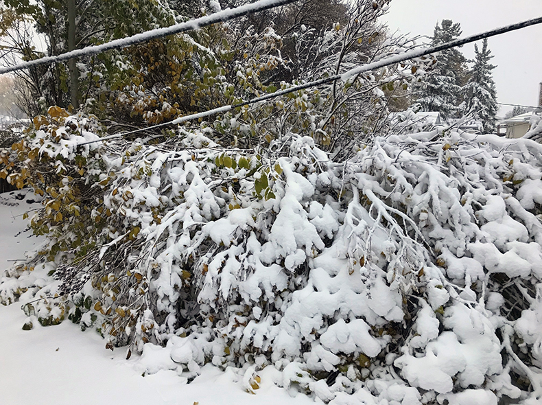The storm brought heavy snow which brought down power and utility lines.