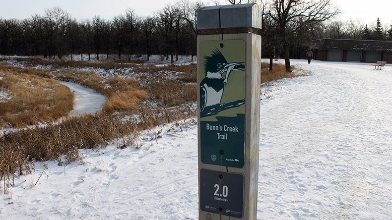 One of the paths in Bunn's Creek Centennial Park