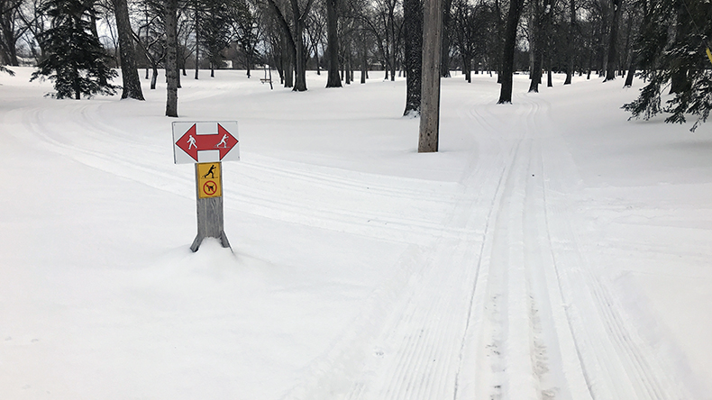 Cross country skiing on one of our groomed trails in our parks and golf courses.