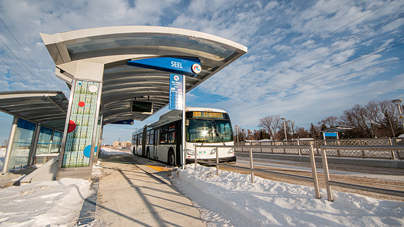 Winnipeg Transit Bus