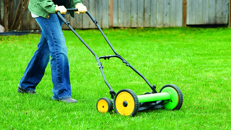 Grasscycling is leaving the grass clippings on the lawn after mowing.