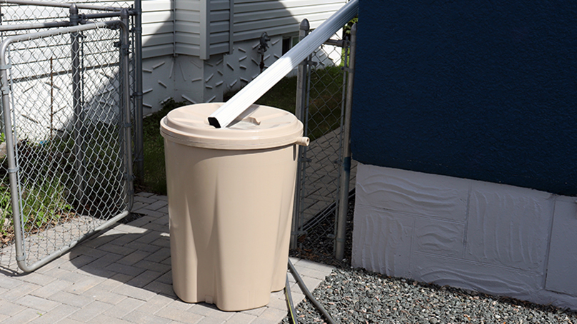 A rain barrel