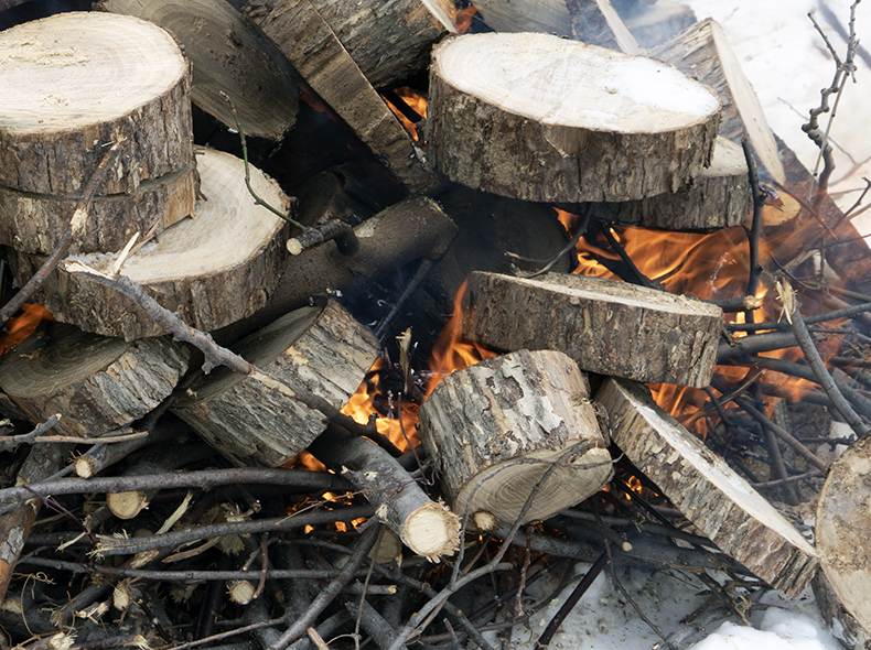 Crews cut the trees into thin discs so the pieces will burn quickly.