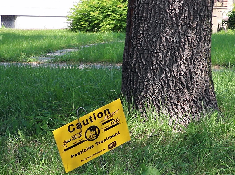 Sign in front of tree warning that it has been injected