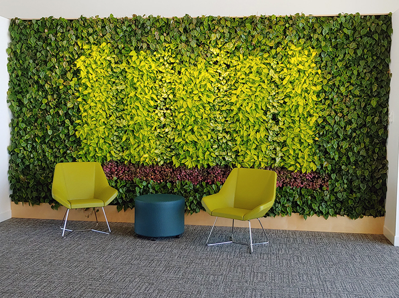 The living green wall at Transcona Library.