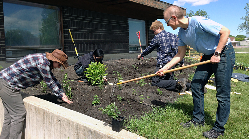 Living Prairie Museum, planting workshops 