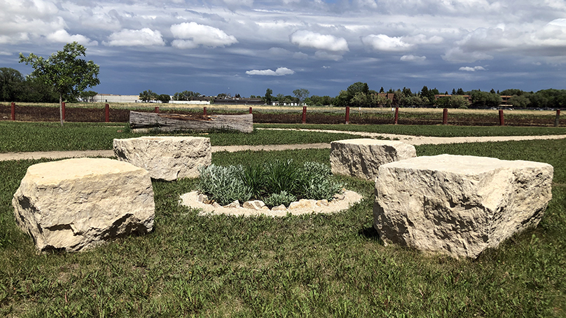 Living Prairie Museum featuring sage and sweetgrass. 