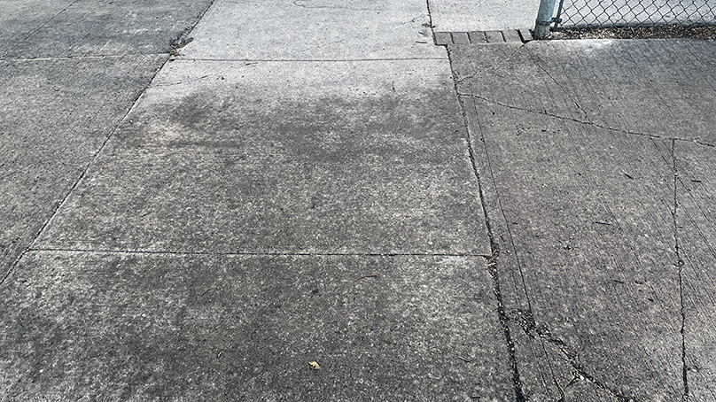 The dark patch of this sidewalk is where the aphid droppings are.