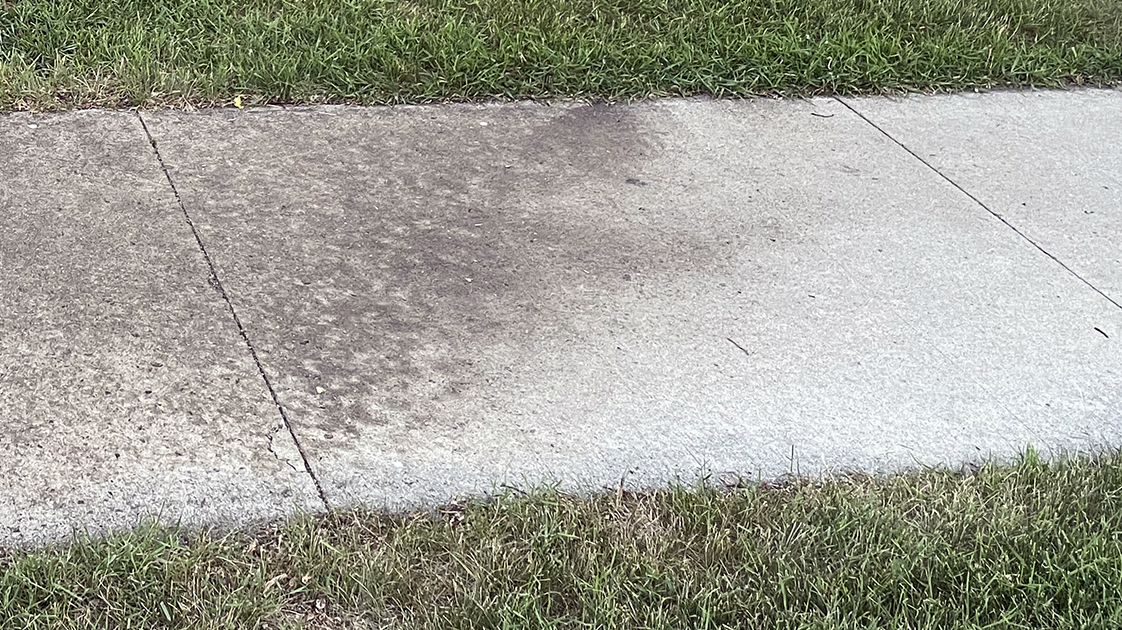 The dark patch of this sidewalk is where the aphid droppings are.