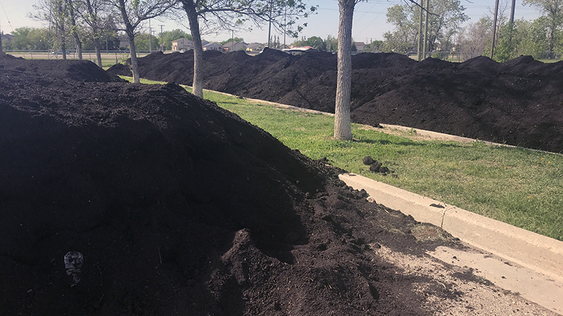 Compost piles at Kilcona Dog Park in 2020.