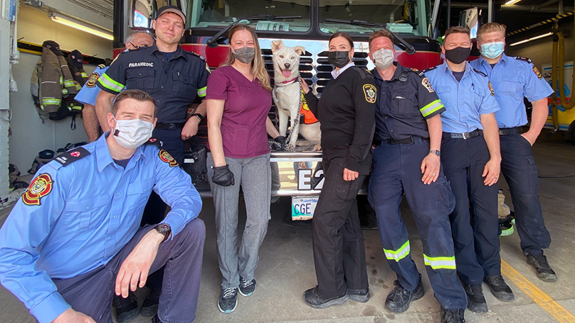 Winnipeg Fire Paramedic Service opens station doors for dogs from Winnipeg  Animal Services - Our City, Our Stories