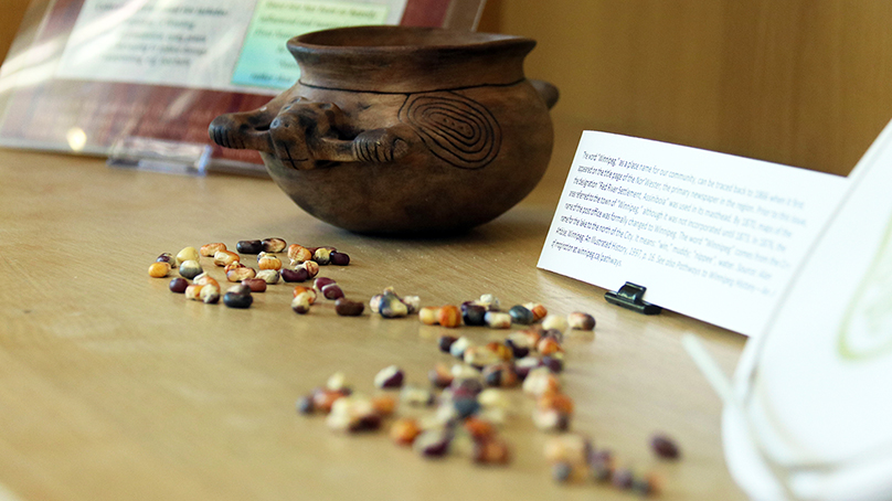 The Story Seeds: Cultivating Wellness and Depth through Indigenous Plant Traditions exhibit is at the Millennium Library until September 15, 2022.