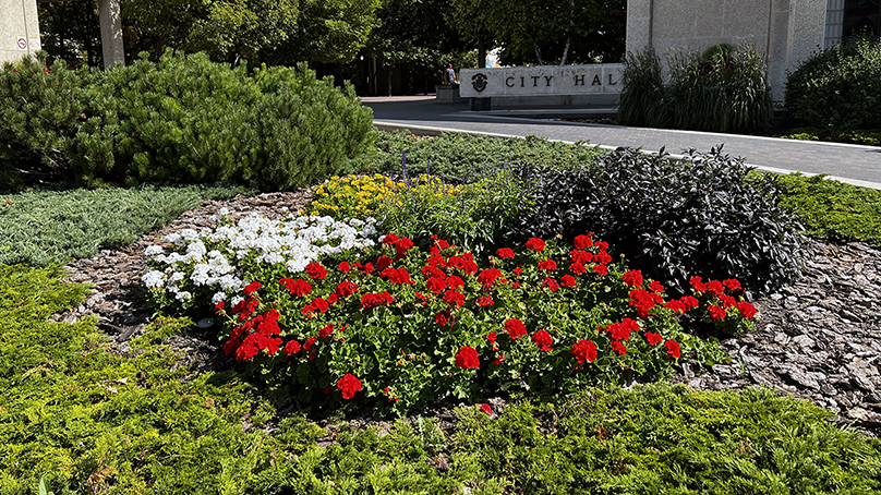 The flower garden planted on the west side of City Hall honours the Medicine Wheel.