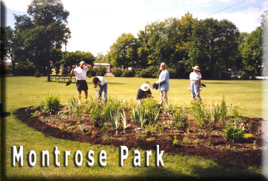 picture of Montrose Park