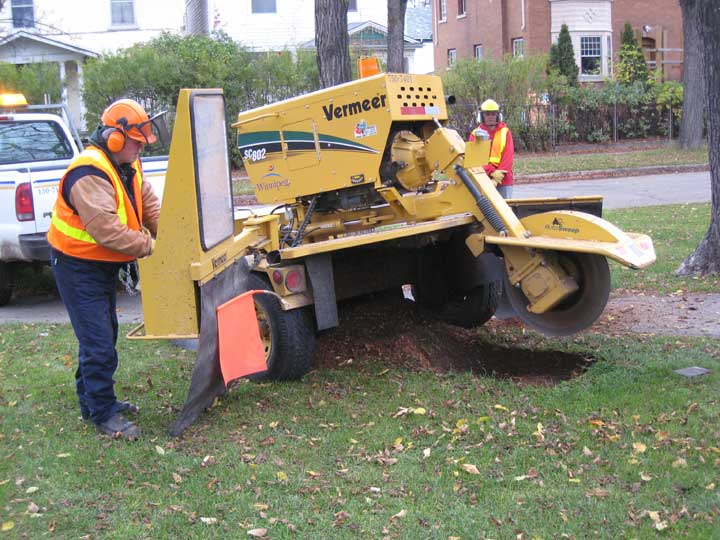 Stump Removal