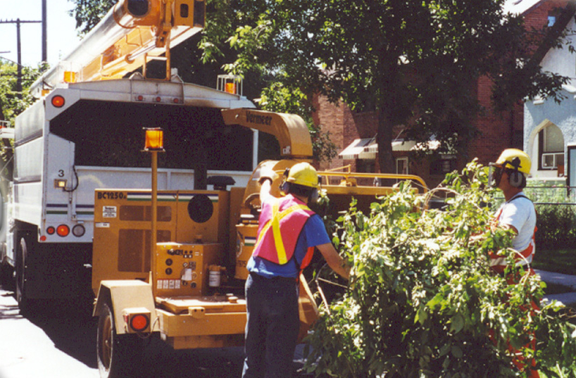 Branches being chipped