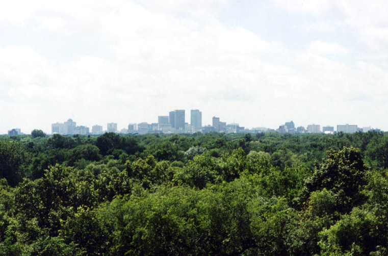 Urban Tree Canopy around Winnipeg