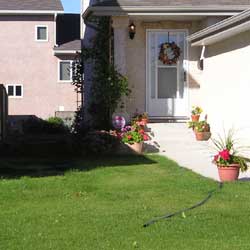 Photo of house showing proper sump pump hose placement photo 2