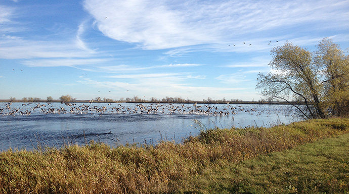 WEWPCC Ponds