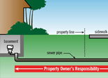Sewer pipe responsibilities 